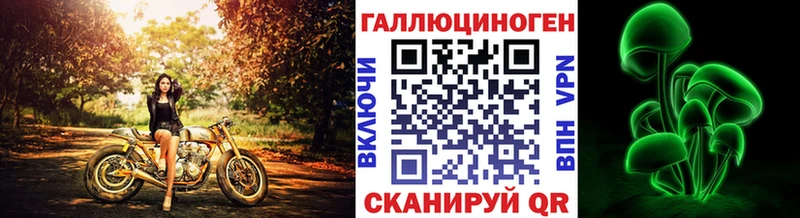 Галлюциногенные грибы Psilocybe  Купить где  Кизел 