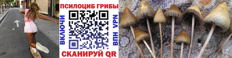 Псилоцибиновые грибы GOLDEN TEACHER Кизел
